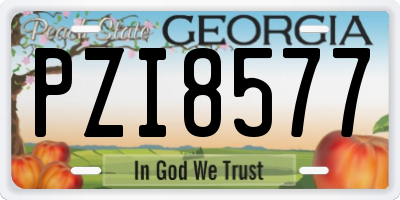 GA license plate PZI8577