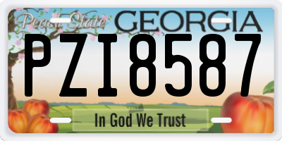 GA license plate PZI8587