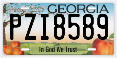 GA license plate PZI8589