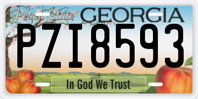GA license plate PZI8593