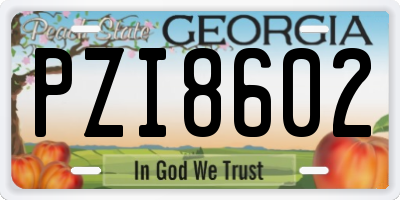 GA license plate PZI8602