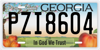 GA license plate PZI8604
