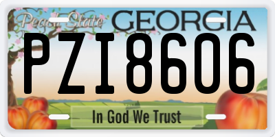 GA license plate PZI8606