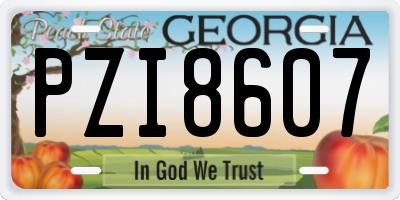 GA license plate PZI8607