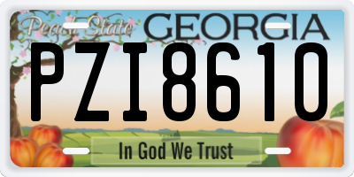 GA license plate PZI8610