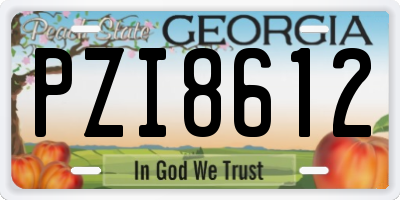 GA license plate PZI8612