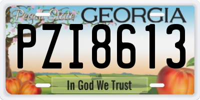 GA license plate PZI8613