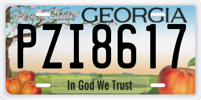 GA license plate PZI8617