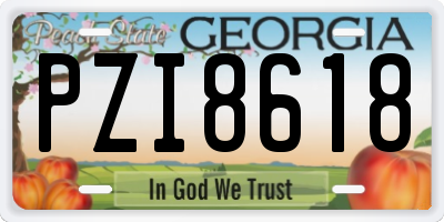 GA license plate PZI8618