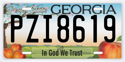 GA license plate PZI8619