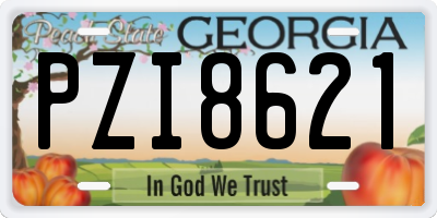 GA license plate PZI8621