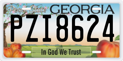 GA license plate PZI8624