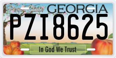 GA license plate PZI8625
