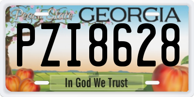 GA license plate PZI8628