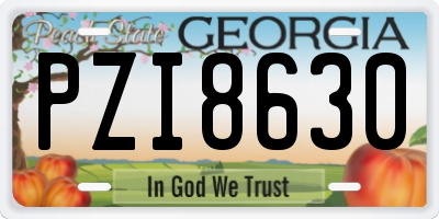 GA license plate PZI8630