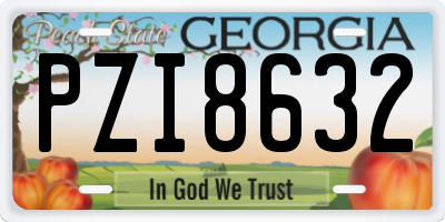 GA license plate PZI8632