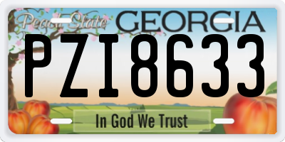 GA license plate PZI8633