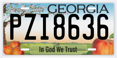 GA license plate PZI8636