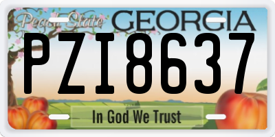 GA license plate PZI8637