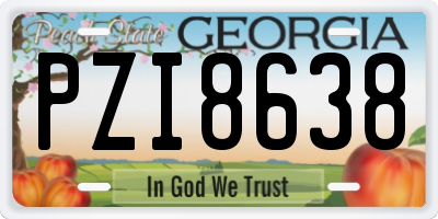 GA license plate PZI8638