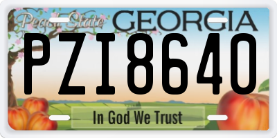 GA license plate PZI8640