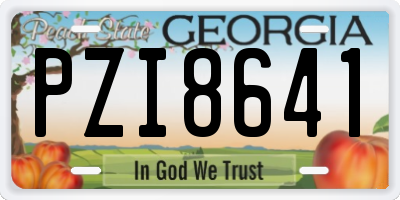 GA license plate PZI8641