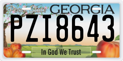 GA license plate PZI8643