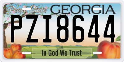 GA license plate PZI8644
