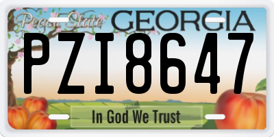 GA license plate PZI8647