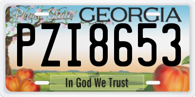 GA license plate PZI8653