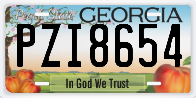 GA license plate PZI8654