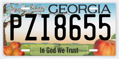 GA license plate PZI8655