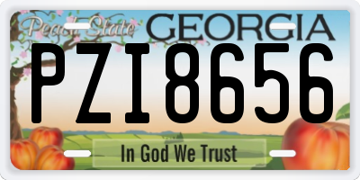 GA license plate PZI8656