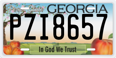 GA license plate PZI8657