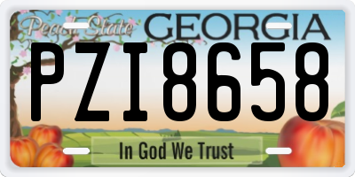GA license plate PZI8658