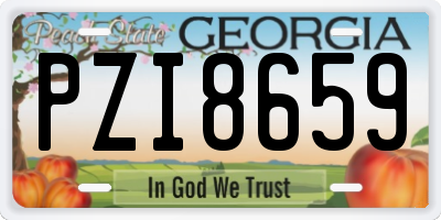 GA license plate PZI8659