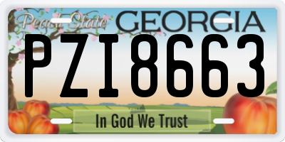 GA license plate PZI8663