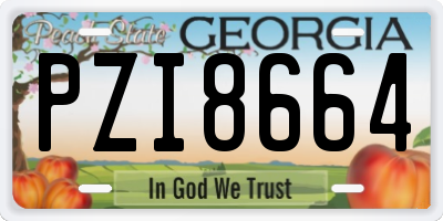 GA license plate PZI8664
