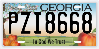 GA license plate PZI8668