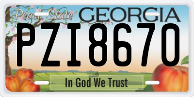 GA license plate PZI8670