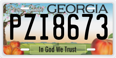 GA license plate PZI8673