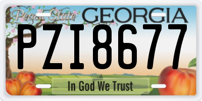GA license plate PZI8677