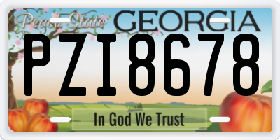 GA license plate PZI8678