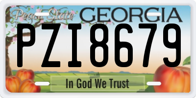 GA license plate PZI8679