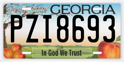 GA license plate PZI8693