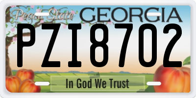 GA license plate PZI8702