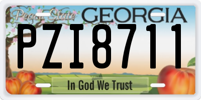 GA license plate PZI8711