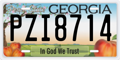 GA license plate PZI8714