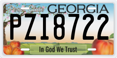 GA license plate PZI8722