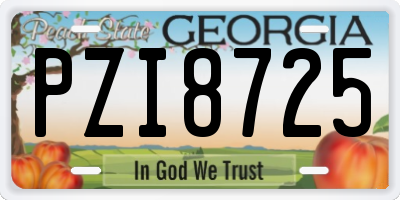 GA license plate PZI8725